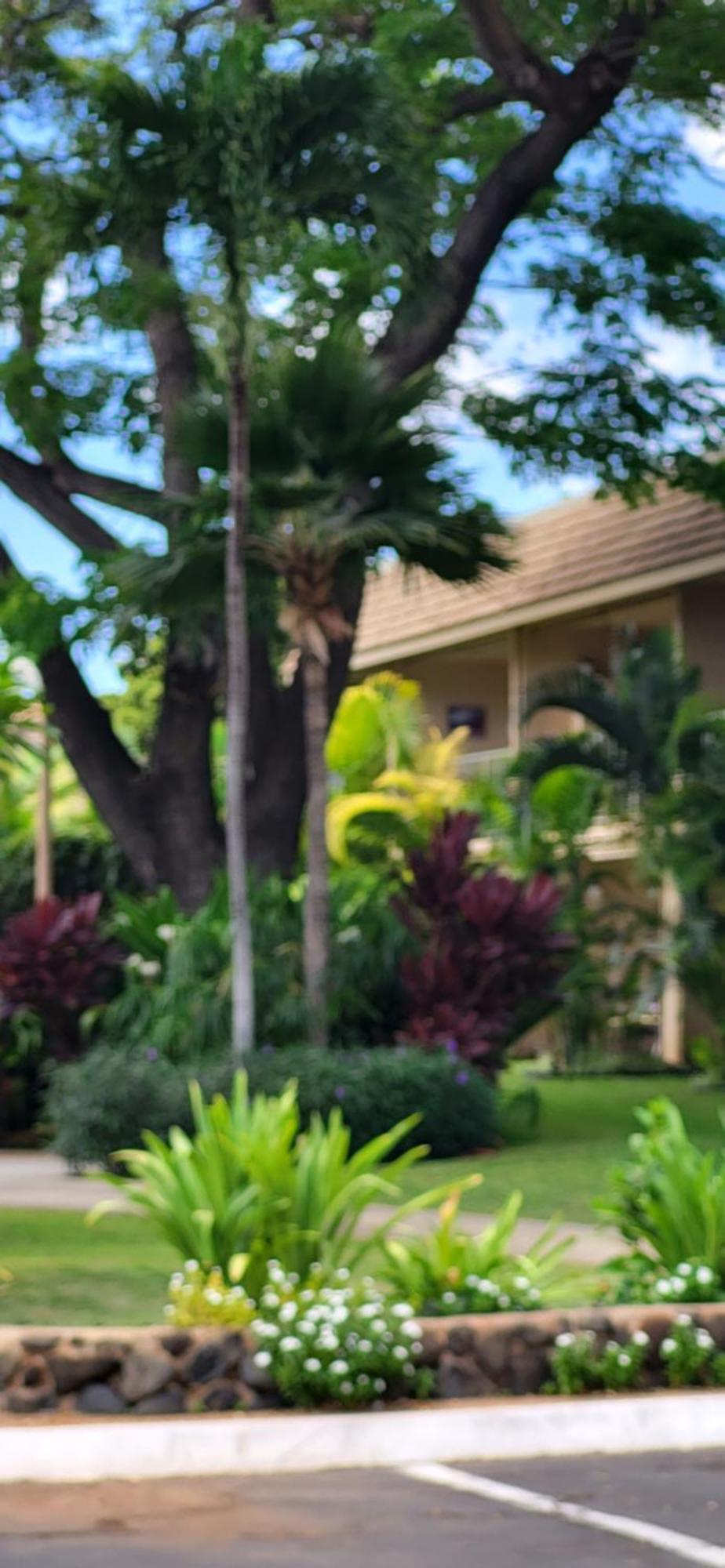Kihei Kai Nani Resort Exterior photo