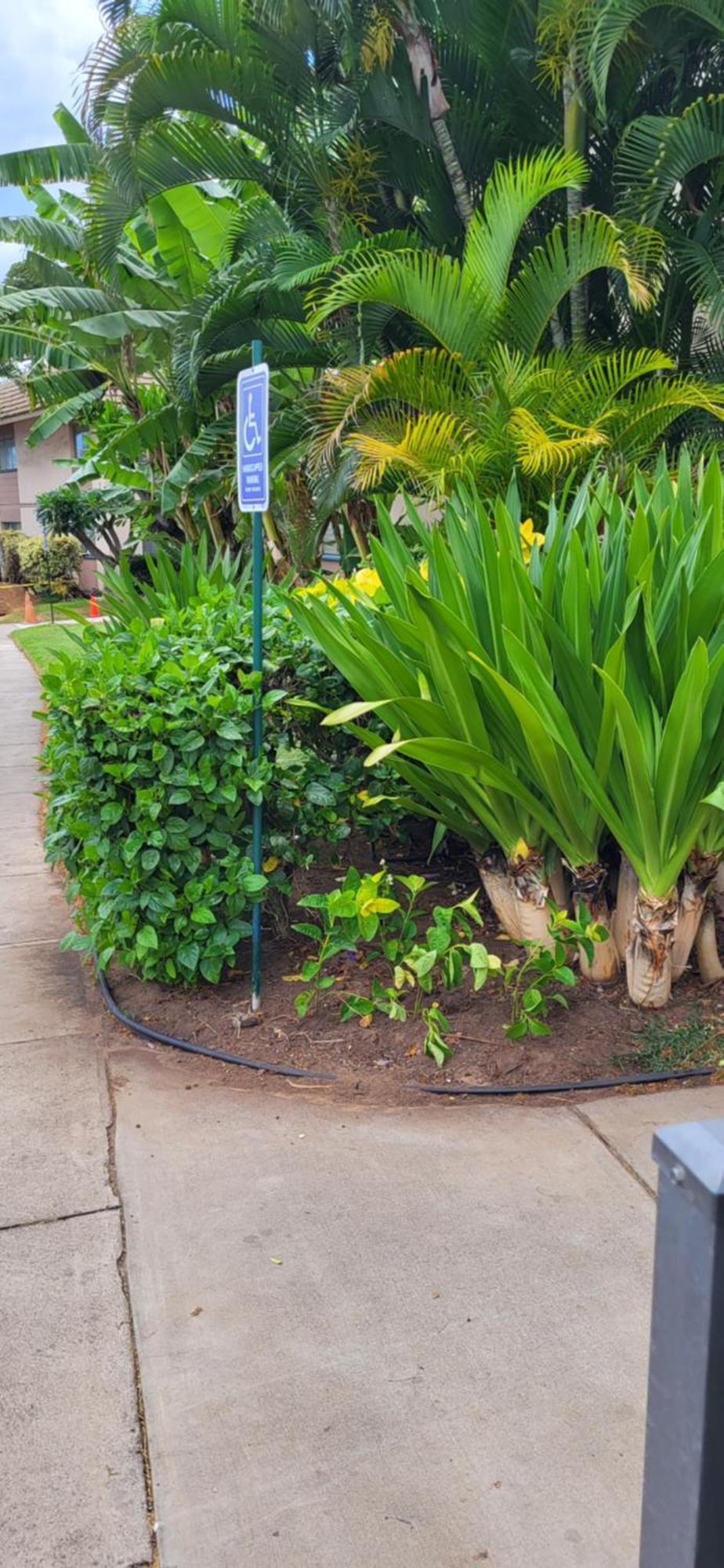 Kihei Kai Nani Resort Exterior photo