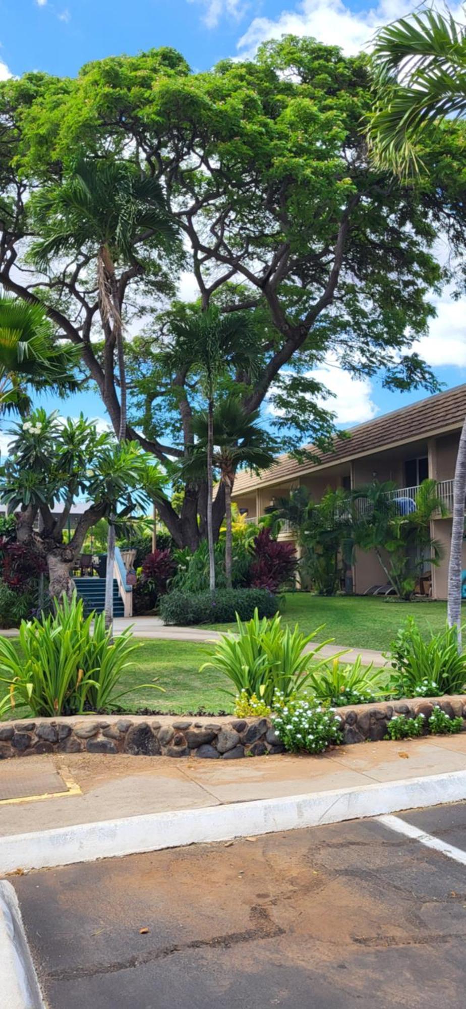 Kihei Kai Nani Resort Exterior photo